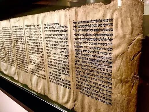 NOBTS Museum of the Bible