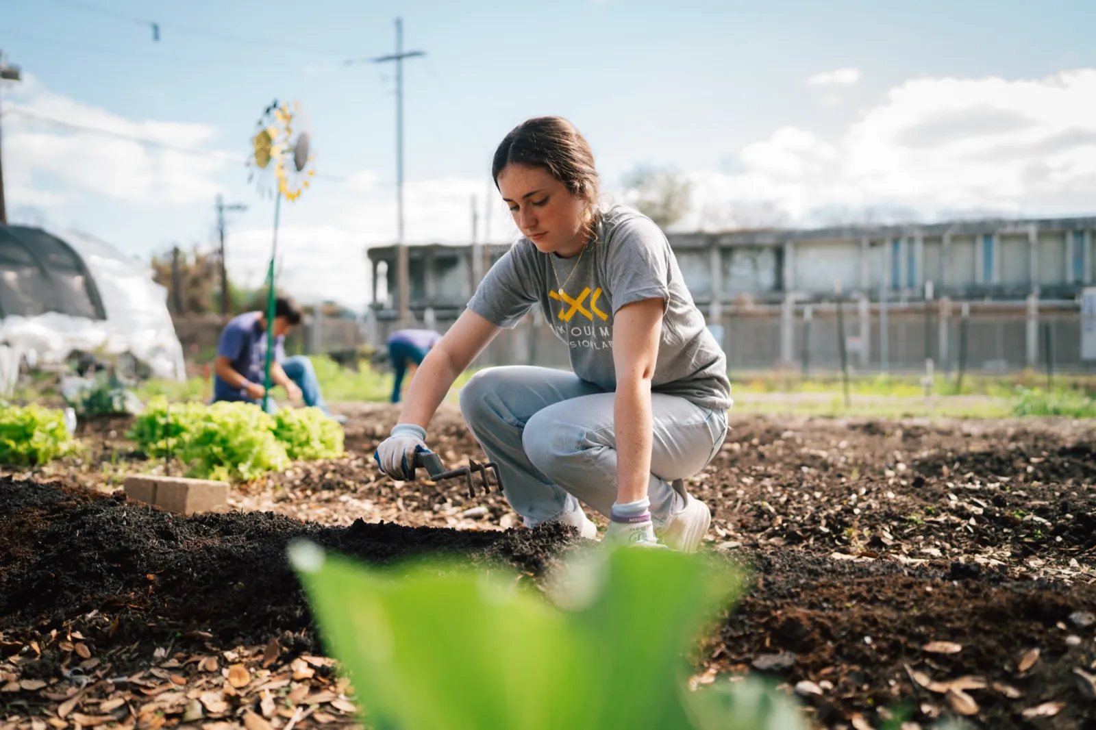 Community Gardens